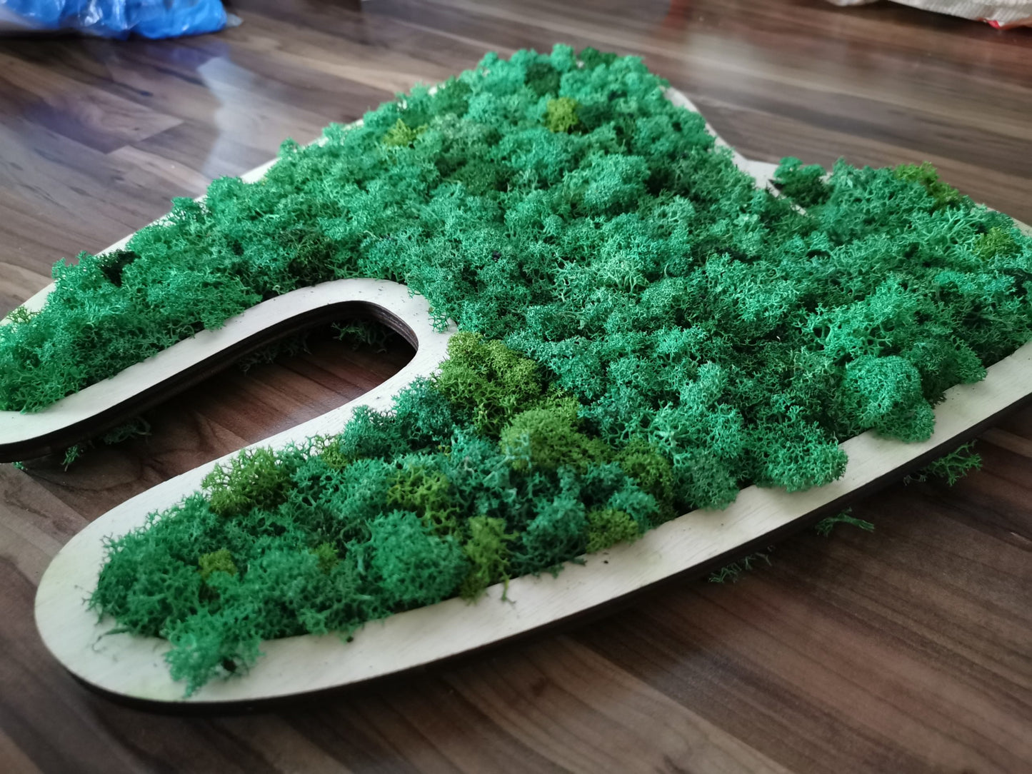 Decor Dinte cu licheni naturali stabilizați