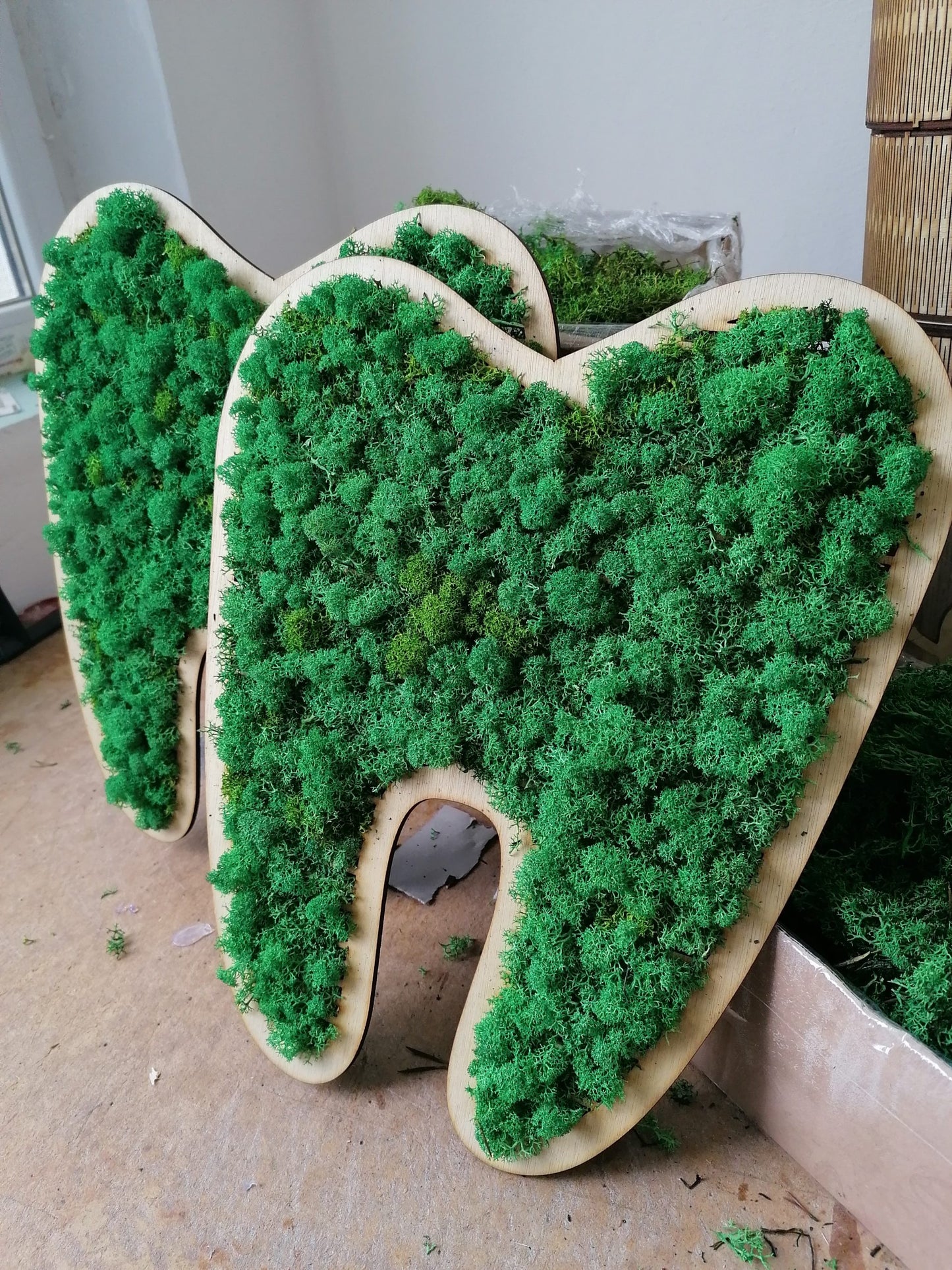 Decor Dinte cu licheni naturali stabilizați