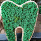 Dinți decorat cu licheni naturali stabilizati
