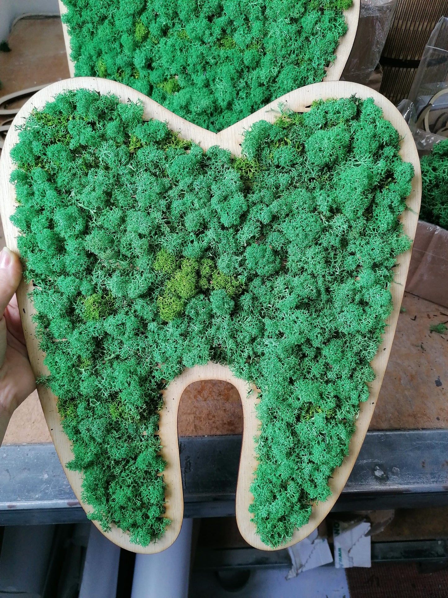 Dinți decorat cu licheni naturali stabilizati
